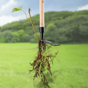 🌱Nieuwe verwijderbare onkruidsleutel🌱