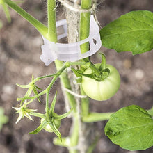 Afbeelding in Gallery-weergave laden, Ondersteuningsclips voor planten
