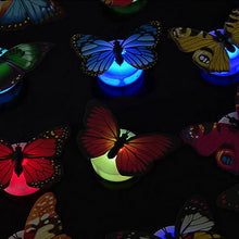 Afbeelding in Gallery-weergave laden, 3D LED Butterfly Decoration Night Light
