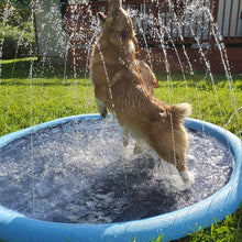 Afbeelding in Gallery-weergave laden, Folding Pet Bath Pad
